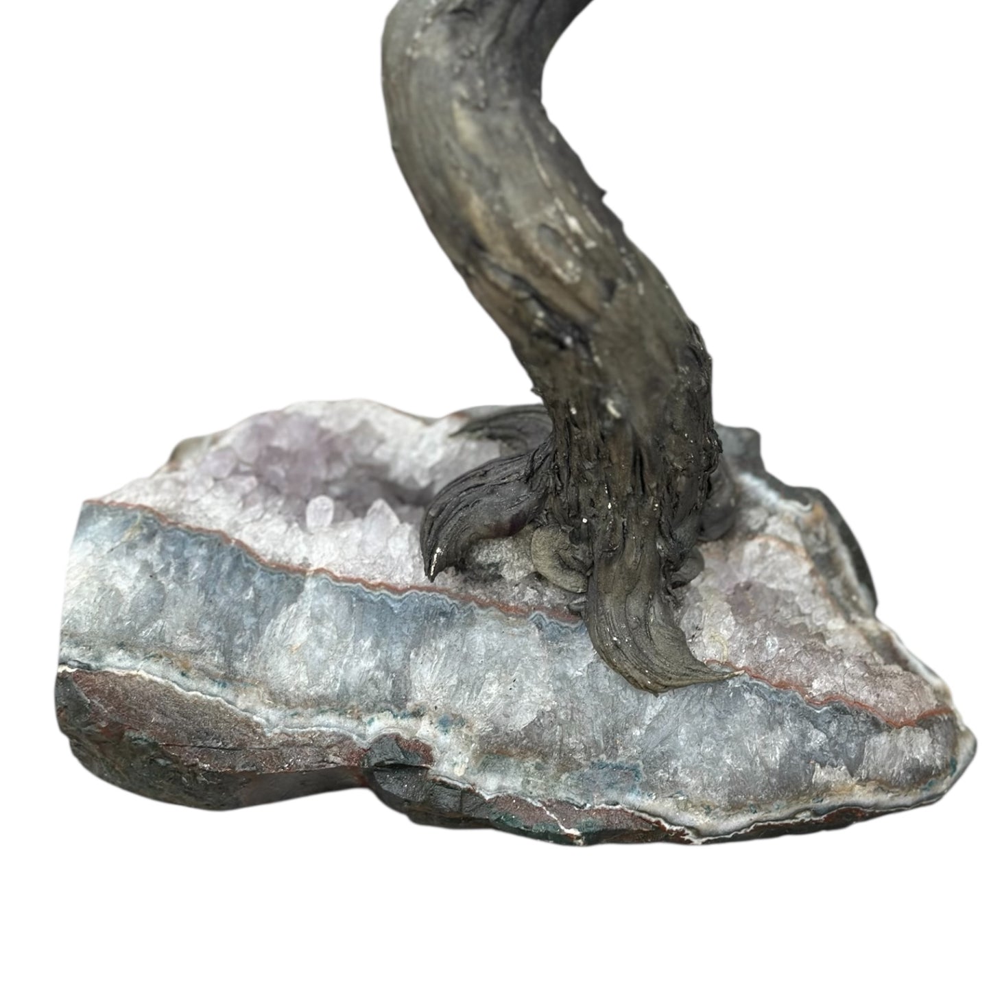 Citrine Tree on Amethyst Base – 15” Tall x 8” Wide 💎 Energy | Abundance | Mental Clarity